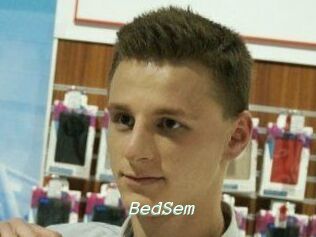 BedSem