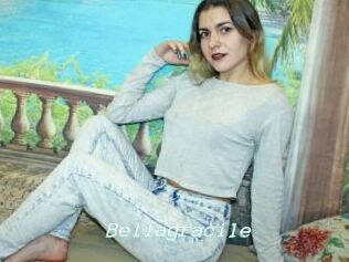 Bellagracile