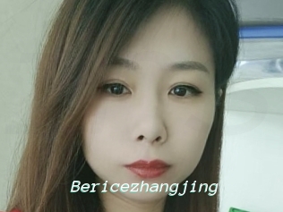 Bericezhangjing