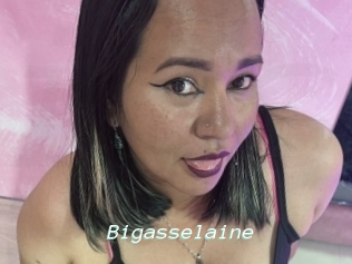 Bigasselaine