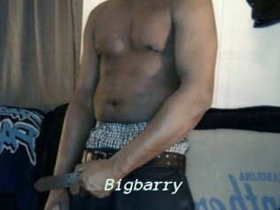 Bigbarry