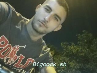 Bigcock_sh
