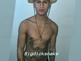 Bigdicksnake
