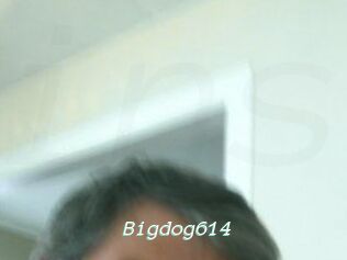 Bigdog614