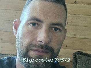 Bigrooster76872