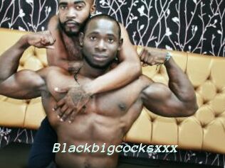 Blackbigcocksxxx