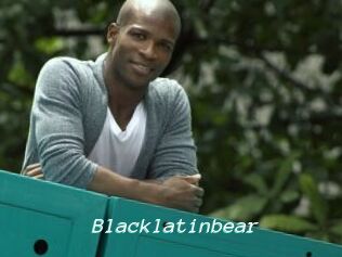 Blacklatinbear
