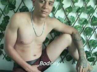 Bodsey