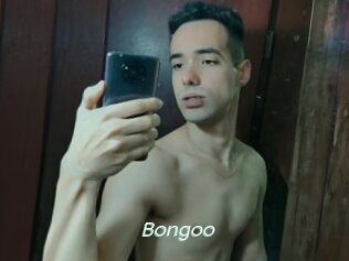 Bongoo