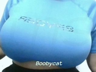 Boobycat