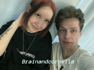 brainandcornelia Insenses