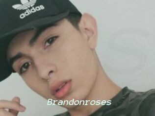 Brandonroses