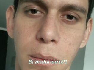 Brandonsex01