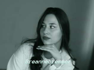 Breannebremmer