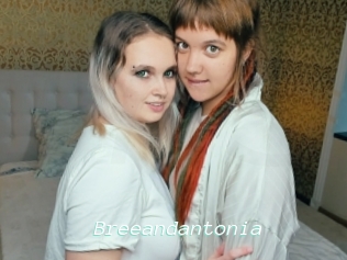 Breeandantonia