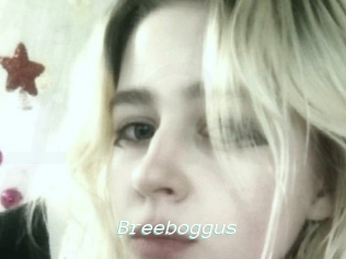 Breeboggus