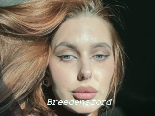 Breedensford