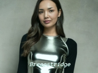 Breeestridge