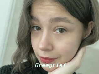 Breegrief