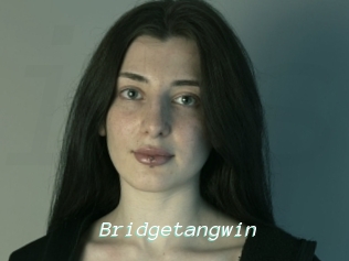 Bridgetangwin