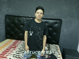 Brucearmin
