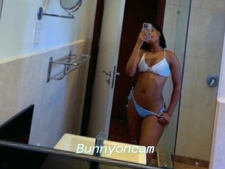 Bunnyoncam