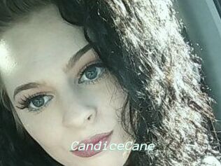 Candice_Cane