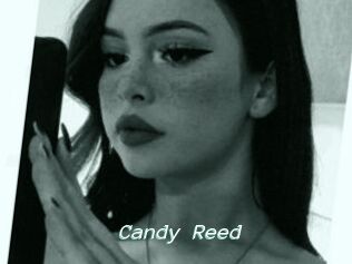 Candy_Reed