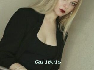 CariBois