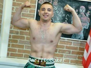 CarlitoBoxer