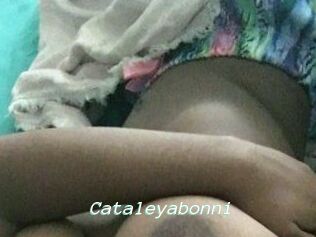 Cataleyabonni