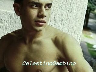 CelestinoGambino