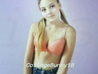 CollegeBunny18