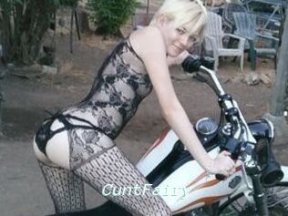 CuntFairy