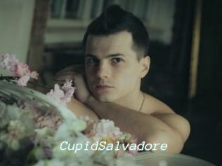 CupidSalvadore