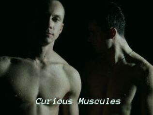 Curious_Muscules
