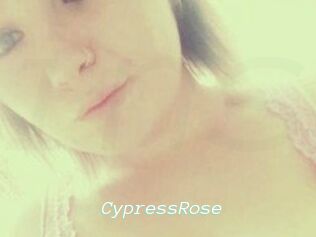 Cypress_Rose