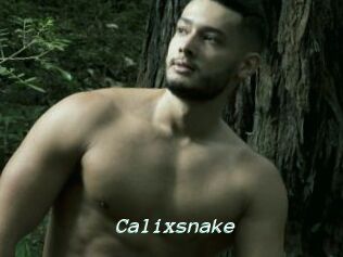 Calixsnake