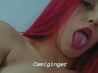Camiginger