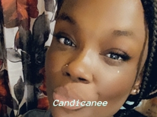 Candicanee