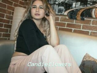 Candieflowers