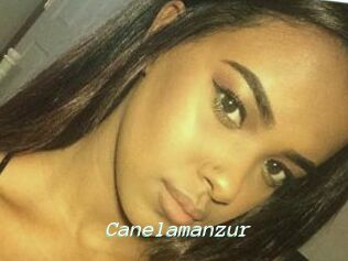 Canelamanzur