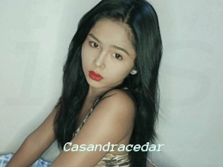 Casandracedar