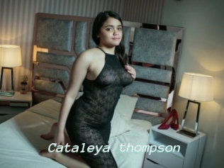 Cataleya_thompson