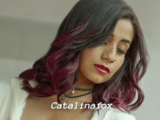 Catalinafox