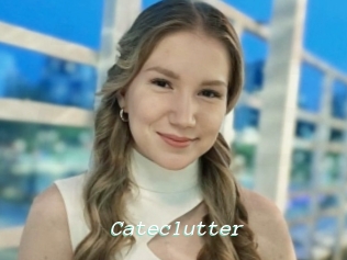 Cateclutter