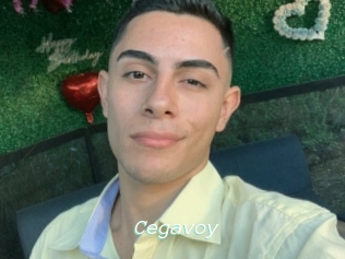 Cegavoy