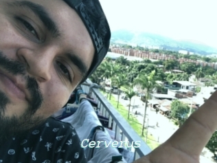 Cerverus