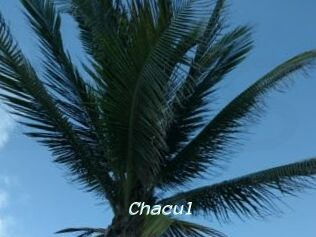 Chacul