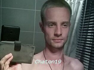 Chaton19